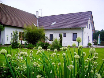 Apartmán, Domanín, Třeboňsko ubytování Třeboň, Penzion Alex Sport