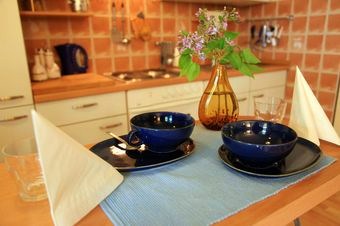 Apartmán, Prachatice, levné ubytování Šumava, Apartment Rosette