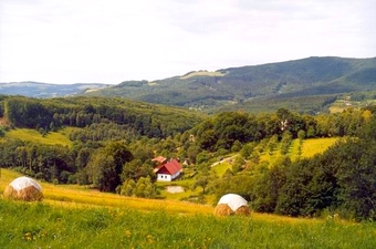 Chata / Chalupa, Vyškovec, Slovácko, Dvorec u Kavků | Ubytování-Aktuálně