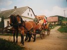 Penzion, Jimramov, Žďárské vrchy, Selské stavení, 
