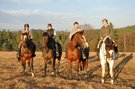 Penzion U Koníčka - ubytování přímo na farmě s koňmi, ubytování STŘEDNÍ ČECHY (www.ubytovani-aktualne.cz)
