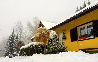 Ubytování v Beskydech - Chalupa k pronajmutí Beskydy, Dolní Bečva Ubytování v Beskydech - Chalupa k pronajmutí Beskydy, Dolní Bečva