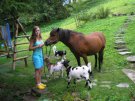 Ubytování u koní - Penzion Luisa, Levné ubytování Krkonoše (www.ubytovani-aktualne.cz)