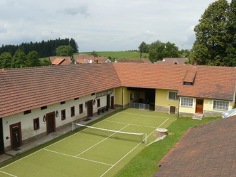 Chalupa s tenisovým kurtem hřištěm, tenis na chalupě u lesa Čechtice k pronajmutí - Blanik a okoli