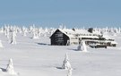 Dvorská bouda, Levné ubytování Krkonoše (www.ubytovani-aktualne.cz)