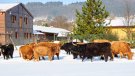 Agrocentrum OHRADA, levné ubytování Moravský kras (www.ubytovani-aktualne.cz)