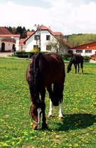 Farma Heroutice, Posázaví (www.ubytovani-aktualne.cz)