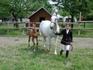 Farma Heroutice, Posázaví (www.ubytovani-aktualne.cz)