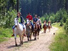 Penzion U Strakatého koně, levné ubytování Moravský kras (www.ubytovani-aktualne.cz)