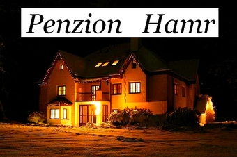 Penzion, Terezino údolí u Nových Hradů, Penzion Hamr