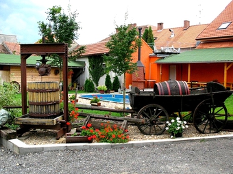 Penzion, Velké Bílovice, Penzion U hroznu