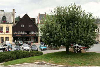 Hotel, Jablonné nad Orlicí, Hotel U Černého medvěda