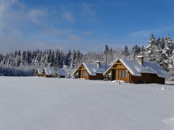 Chata / Chalupa, Nové Město na Moravě, Chatky Apollo na Vysočině