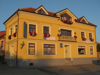 Penzion, Tišnov, Pension Pluto