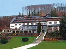 Hotel, Trojanovice, Hotel Troyer, 