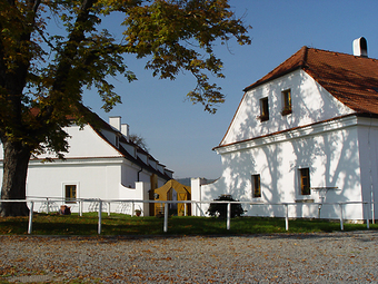 Penzion, Netvořice, Farma a hřebčín Favory